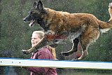 Canis donderdag