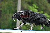 Canis donderdag