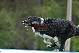 Canis donderdag