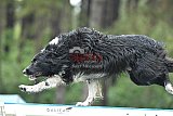 Canis donderdag