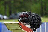Canis donderdag