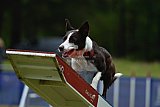 Canis donderdag