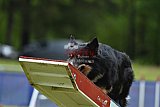 Canis donderdag