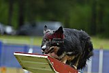 Canis donderdag