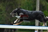 Canis donderdag