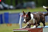 Canis donderdag