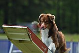 Canis donderdag