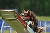 Canis donderdag