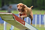 Canis donderdag