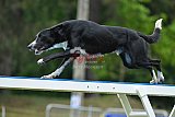 Canis donderdag