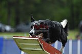 Canis donderdag