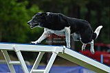 Canis donderdag