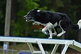 Canis donderdag