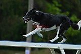 Canis donderdag