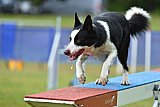 Canis donderdag