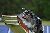 Canis donderdag