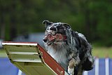 Canis donderdag