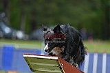 Canis donderdag
