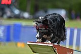 Canis donderdag