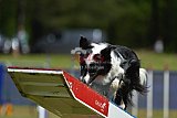 Canis donderdag