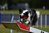 Canis donderdag
