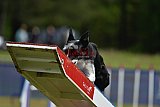 Canis donderdag