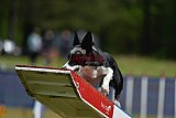 Canis donderdag