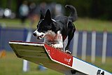 Canis donderdag