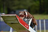 Canis donderdag