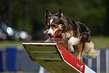 Canis donderdag