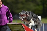 Canis donderdag