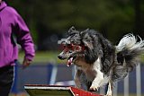 Canis donderdag