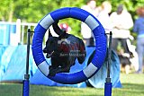 Canis zaterdag