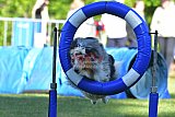 Canis zaterdag