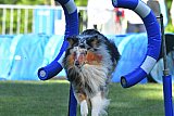 Canis zaterdag