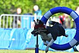 Canis zaterdag
