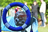 Canis zaterdag