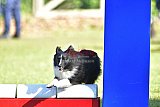 Canis zaterdag