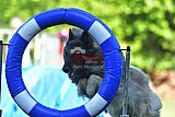 Canis zaterdag