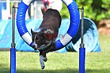 Canis zaterdag