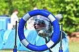 Canis zaterdag