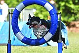 Canis zaterdag