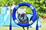Canis zaterdag