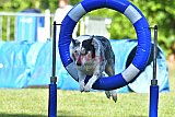 Canis zaterdag