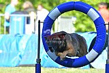 Canis zaterdag