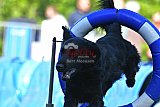 Canis zaterdag