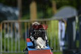 Canis zaterdag