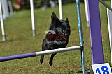 Canis zaterdag