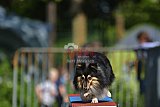 Canis zaterdag