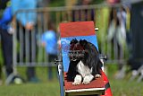 Canis zaterdag